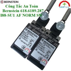 Cảm Biến Bernstein 618.6189.287