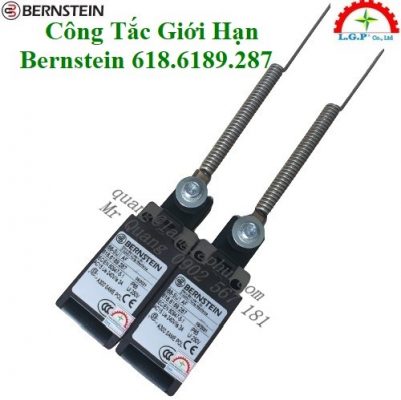 Công tắc giới hạn Bernstein 618.6189.287