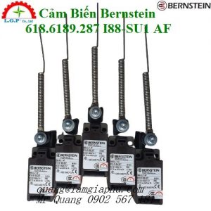 Công Tắc An Toàn Bernstein 618.6189.287