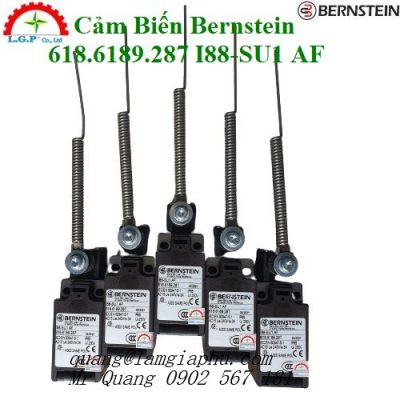 Công Tắc An Toàn Bernstein 618.6189.287