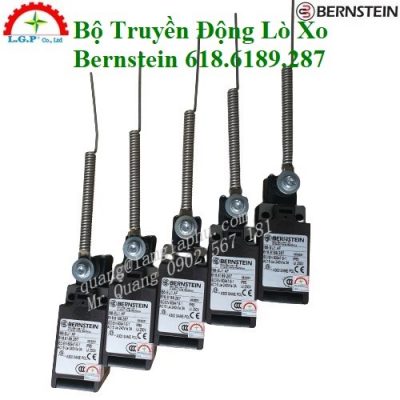 Bernstein 618.6189.287