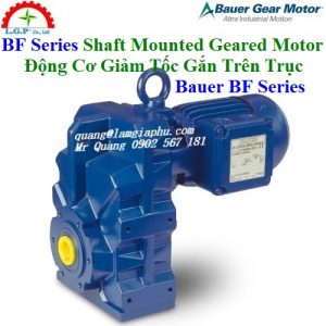 Động Cơ Giảm Tốc gắn Trên Trục Bauer BF Series