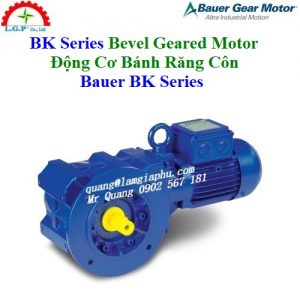 Động Cơ Bánh Răng Côn Bauer BK Series