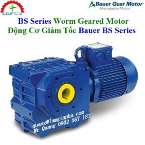 Động Cơ Giảm Tốc Bauer BS Series