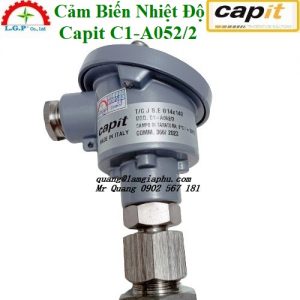 Cảm Biến Nhiệt Độ Capit C1-A052/2